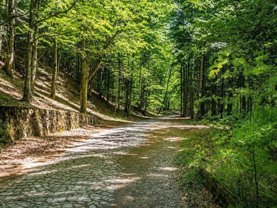 Natură & ecologie