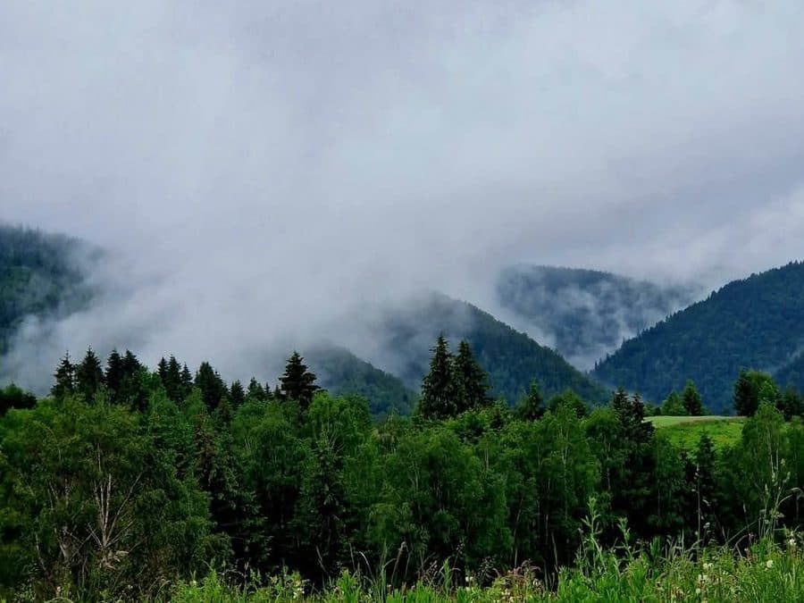 Tabere în natură